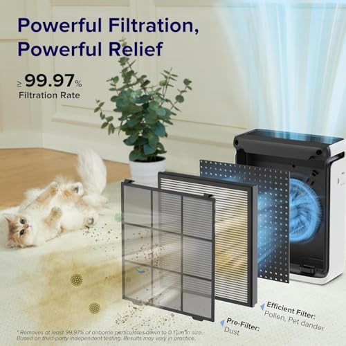 vital-100s-replacement-filter-9475437.jpg